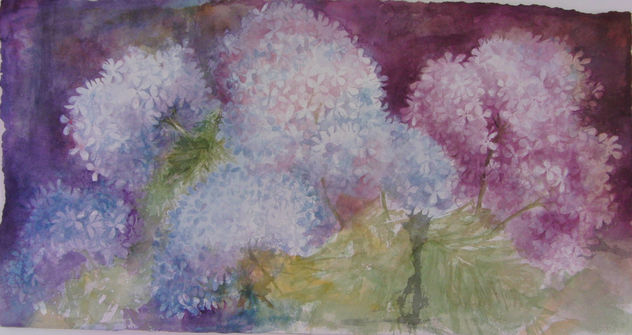 HORTENSIAS