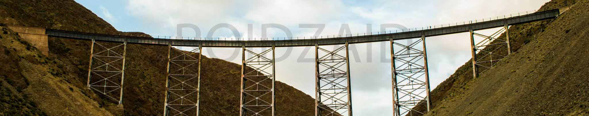 Imagen de portada