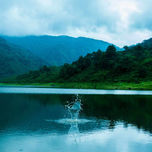 Norte Argentino thumbnail 1