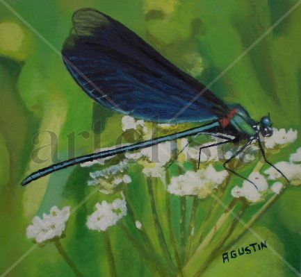 Dragonfly