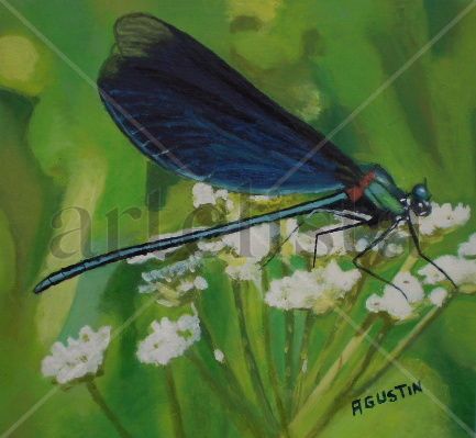 dragonfly Oil Panel Landscaping