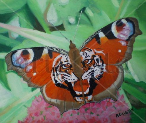 mariposa tigres