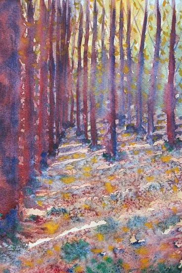 El Bosque Encantado. Watercolour Paper Landscaping