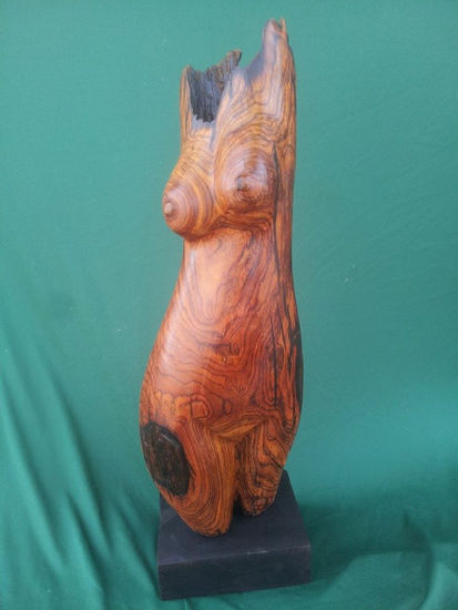 torzo de cocobolo Madera Figurativa