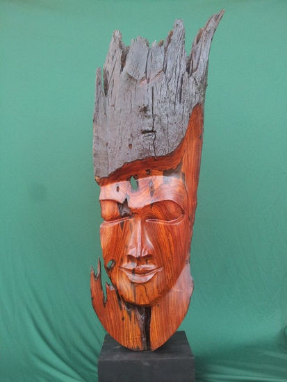 Rostro de cocobolo Madera Figurativa