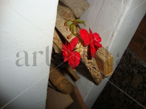Flor sobre madera