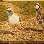 Animales thumbnail 1
