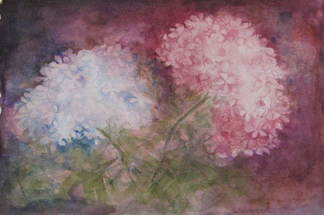 hortensias