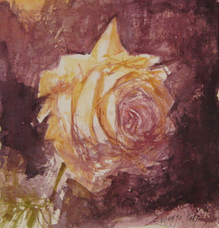 Rosa