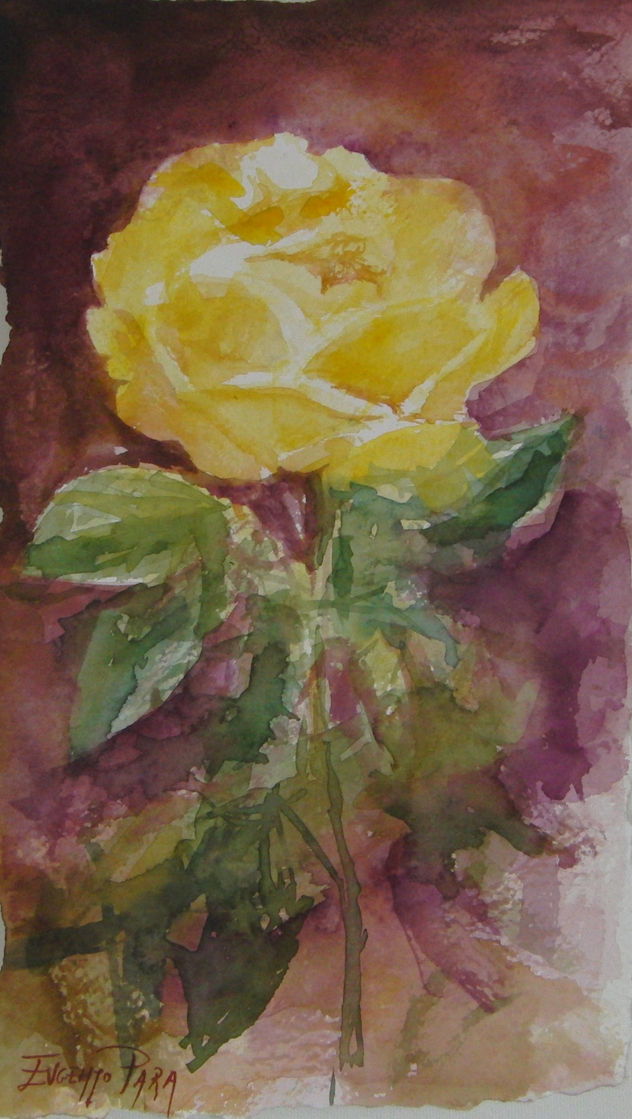rosa abierta