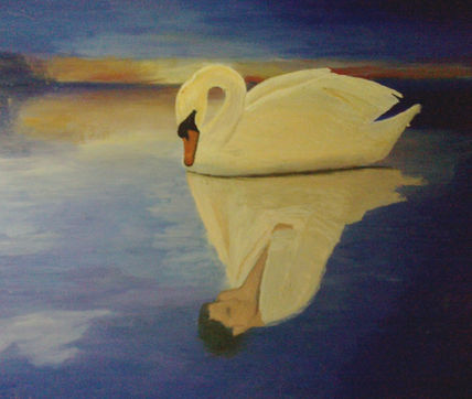 El reflejo del cisne