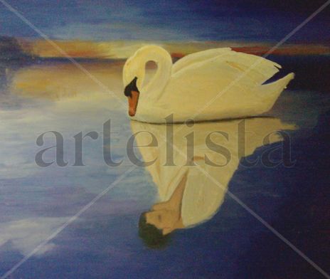 El reflejo del cisne