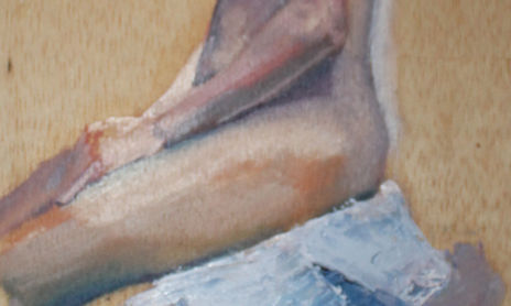 desnudos