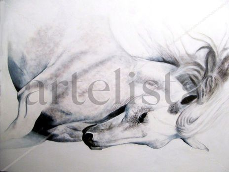 Equus2