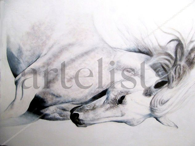 Equus2 Acrylic Panel Animals