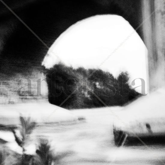 SOBRE EL PUENTE Naturaleza Blanco y Negro (Digital)