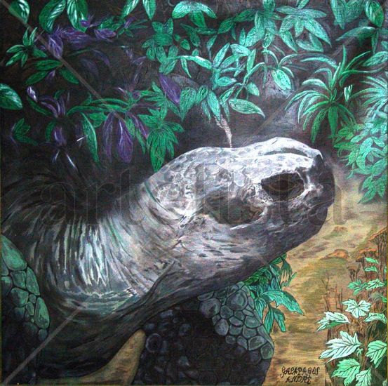 Tortuga Terrestre Gigante de Galápagos. Acrylic Canvas Animals