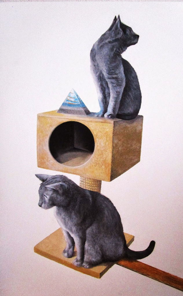GATOS Y ORGONITA