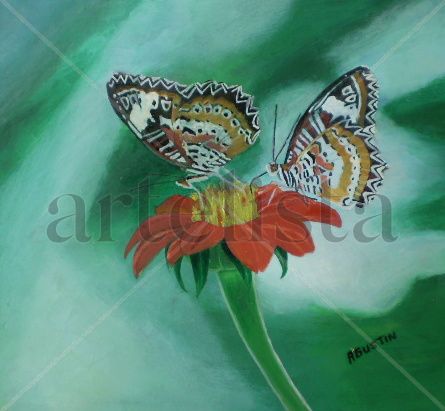 Parejas de mariposa