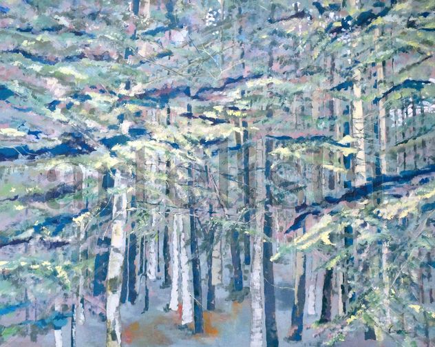 Bosc-9