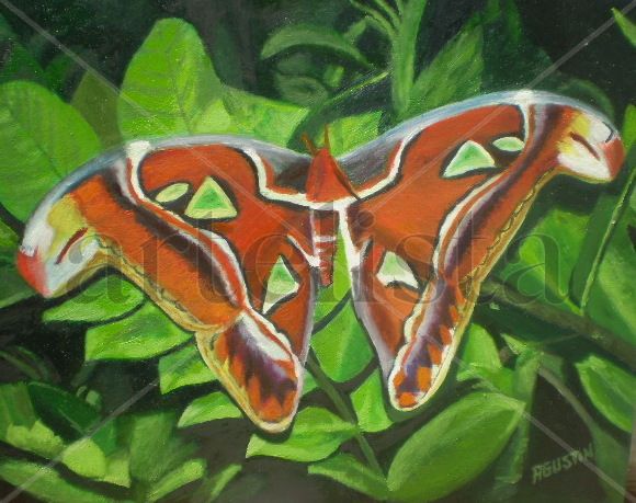 mariposa en las hojas Oil Panel Others