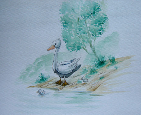Pato