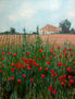 Amapolas en la ermita