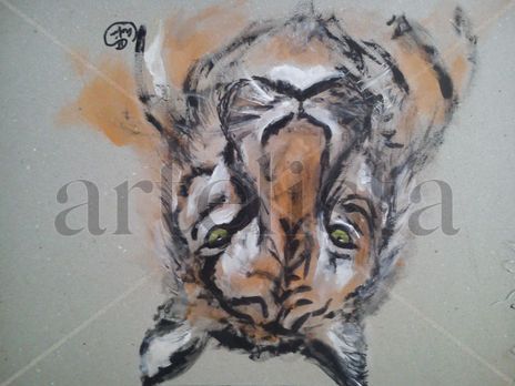 Tigre