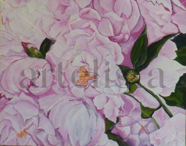 Peonías Oil Canvas Floral Painting