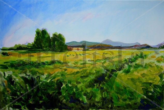 Sierra Salinas  -Villena- Acrylic Canvas Landscaping