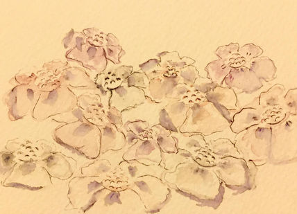Florecillas