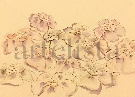 Florecillas