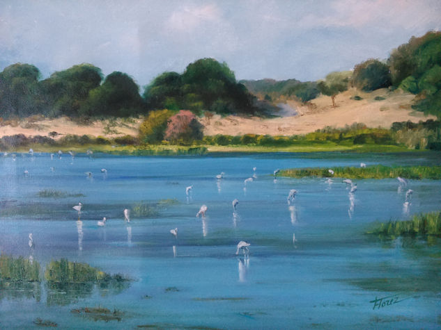 Aves acuáticas Oil Canvas Landscaping