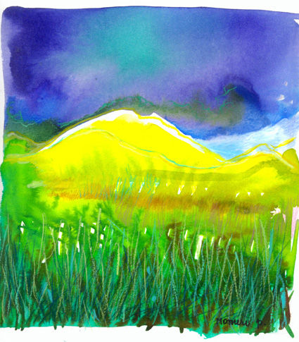 paisaje sur