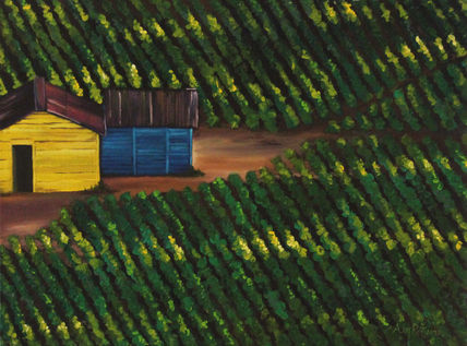 Cabbage Field