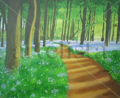 Un paseo por el bosque