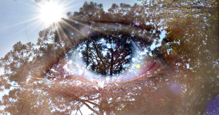 Naturaleza humana