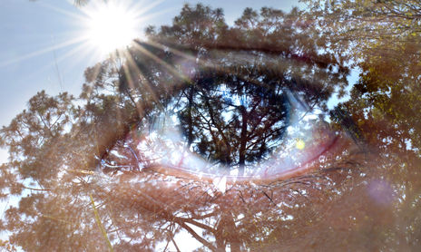 Naturaleza humana