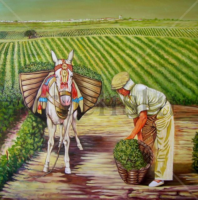 VENDIMIADOR