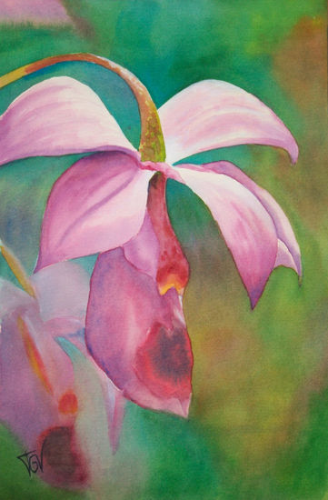 Orquídea silvestre Watercolour Paper Floral Painting