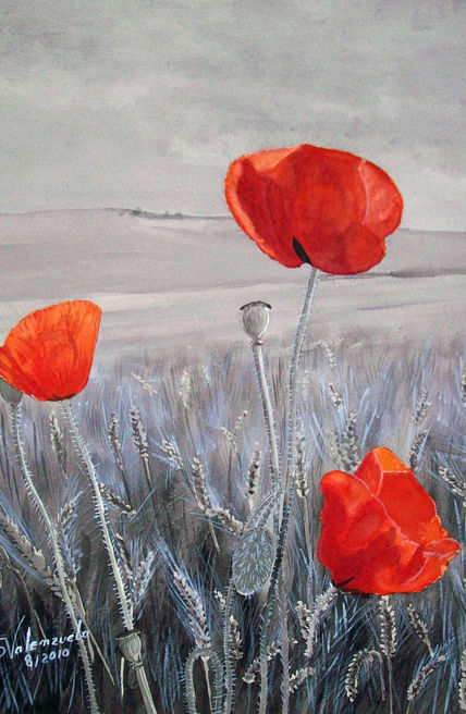 Amapolas