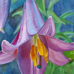Flores thumbnail 1