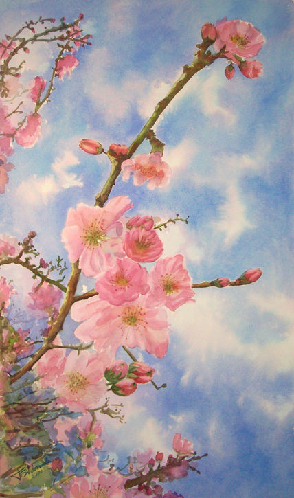Flores de almendro