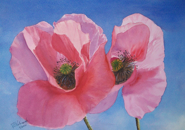 amapolas Watercolour Paper Floral Painting