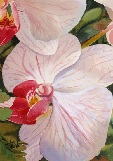 orquídeas Watercolour Paper Floral Painting