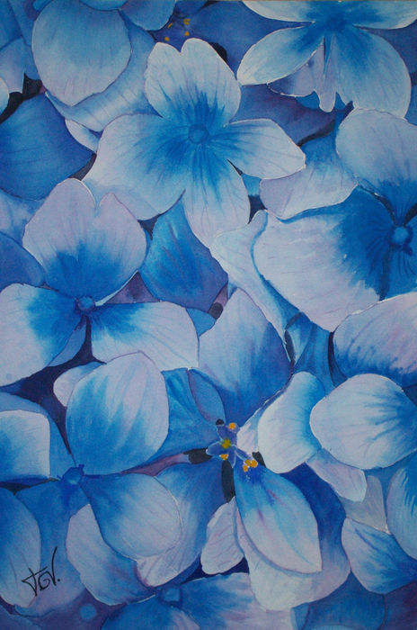 Flores