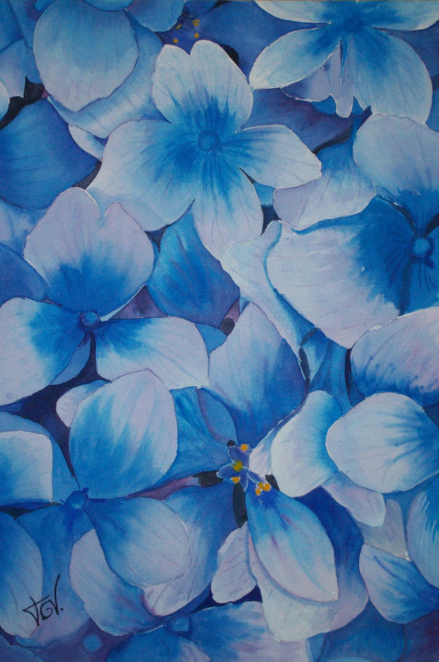 flores