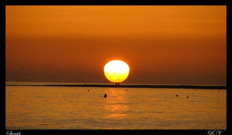 Sunset