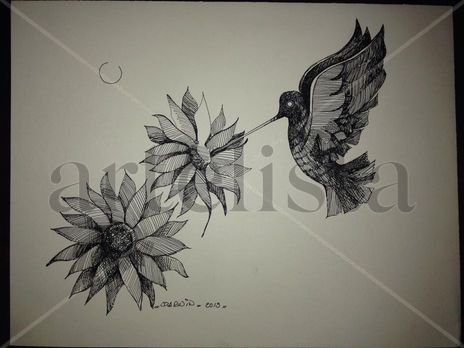El colibrí