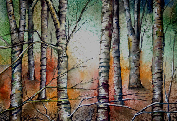 Bosque Watercolour Paper Landscaping